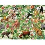 Puzzle Jungla, 2000 Piese Ravensburger - 1